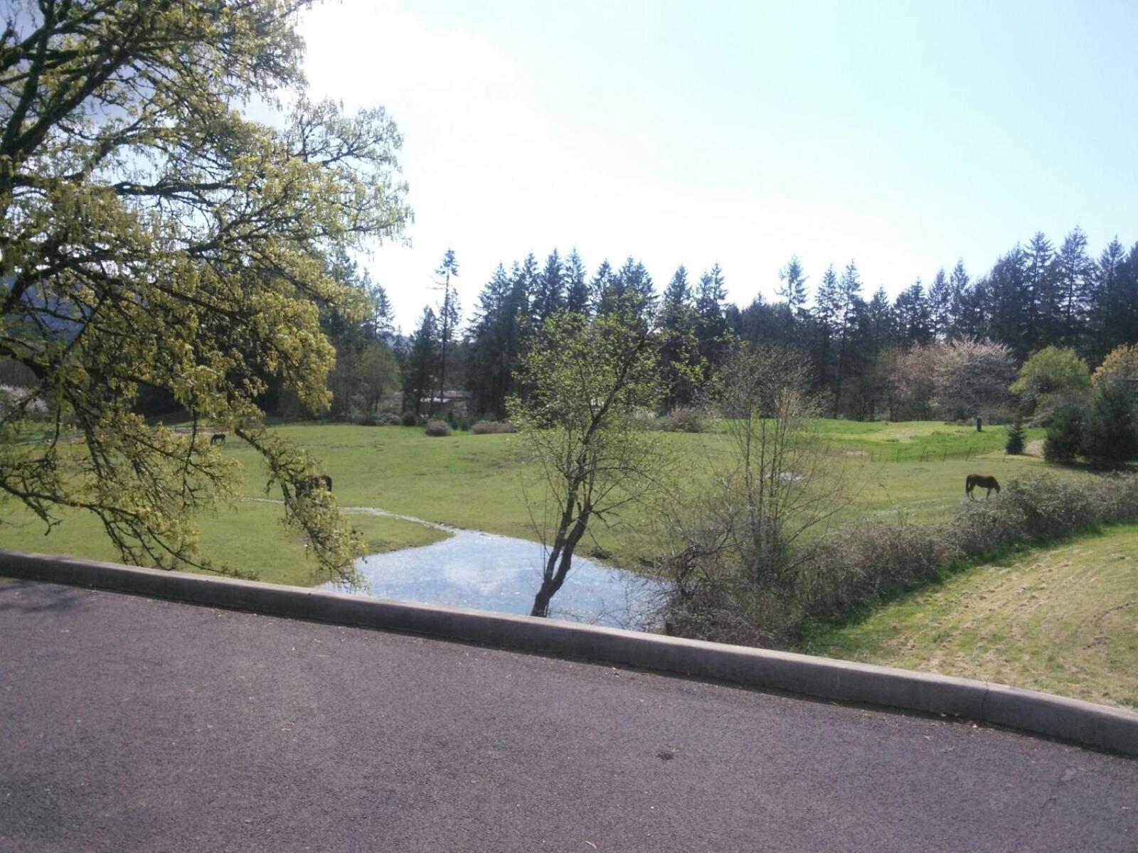 Vancouver Wa Beautiful Apartment Woodland Ngoại thất bức ảnh